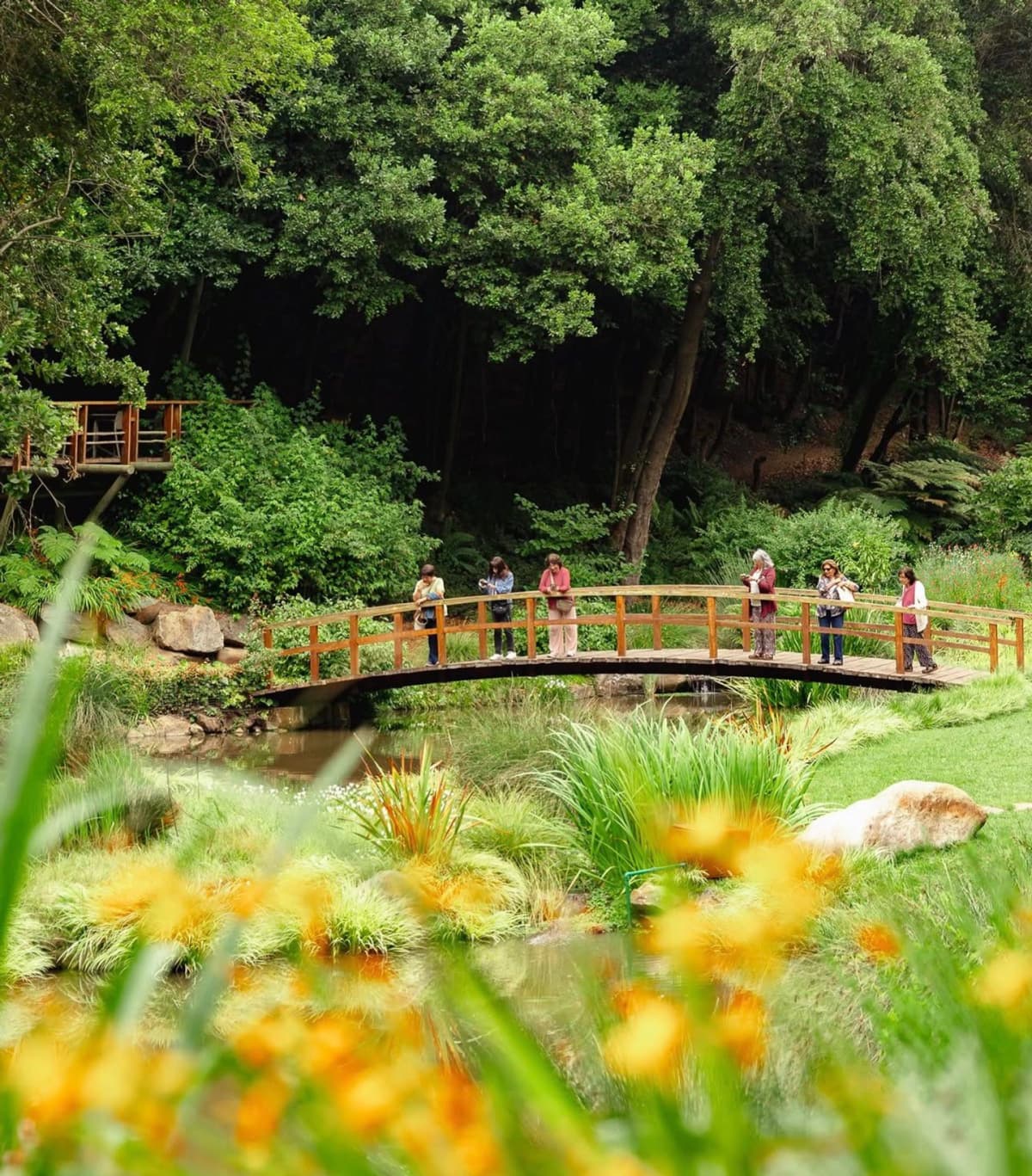 Entrada al Parque Tricao (Sin aviario ni Jardín Botánico)