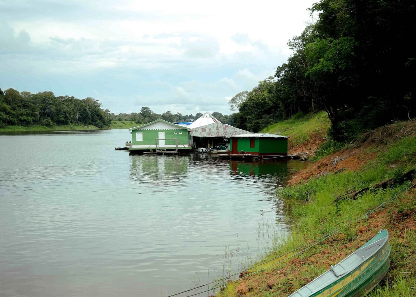 5-Day Amazon Jungle Tour with Accommodation at Juma Lake from Manaus