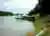 5-Day Amazon Jungle Tour with Accommodation at Juma Lake from Manaus