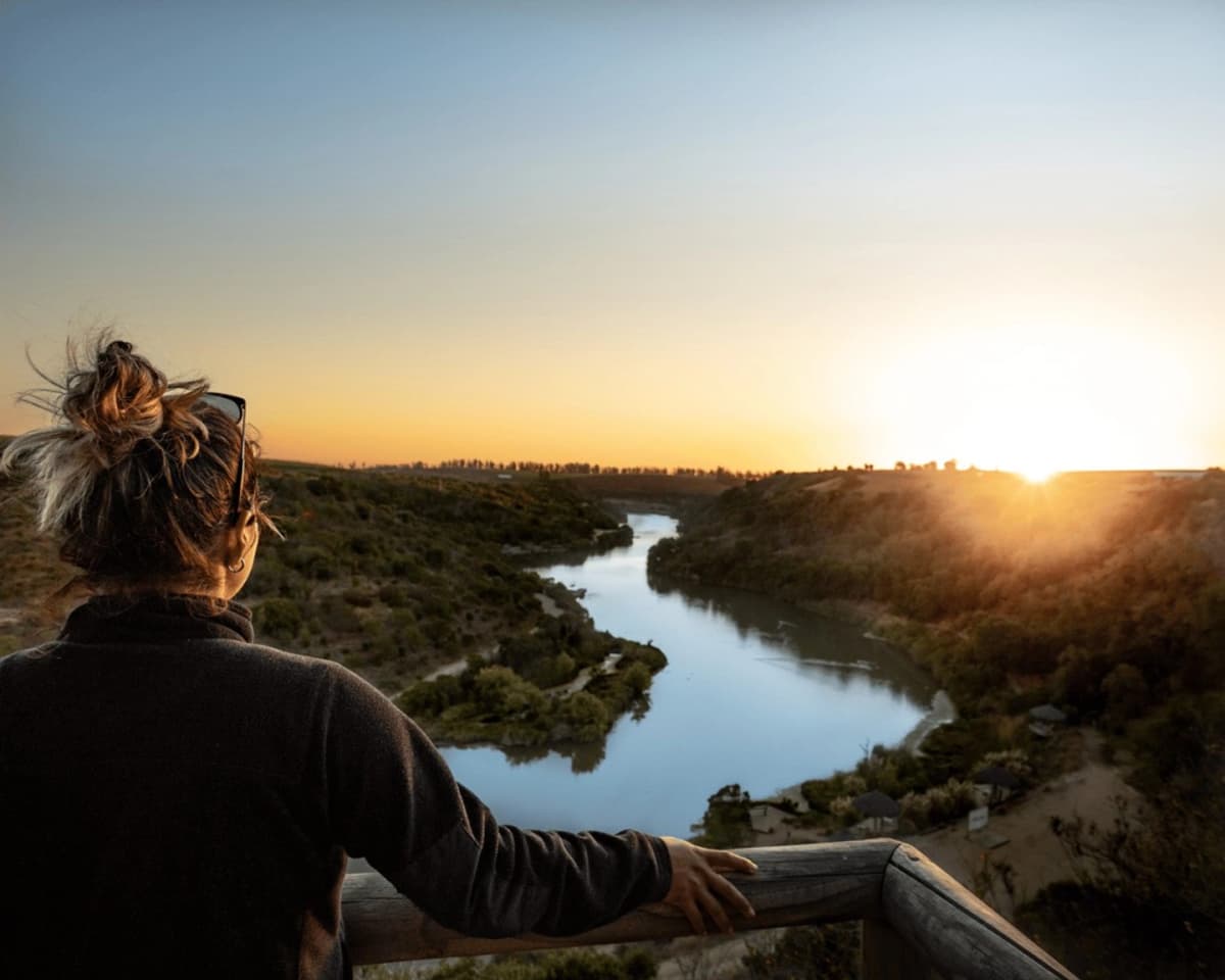 Observación de Aves en Parque Tricao desde Valparaiso