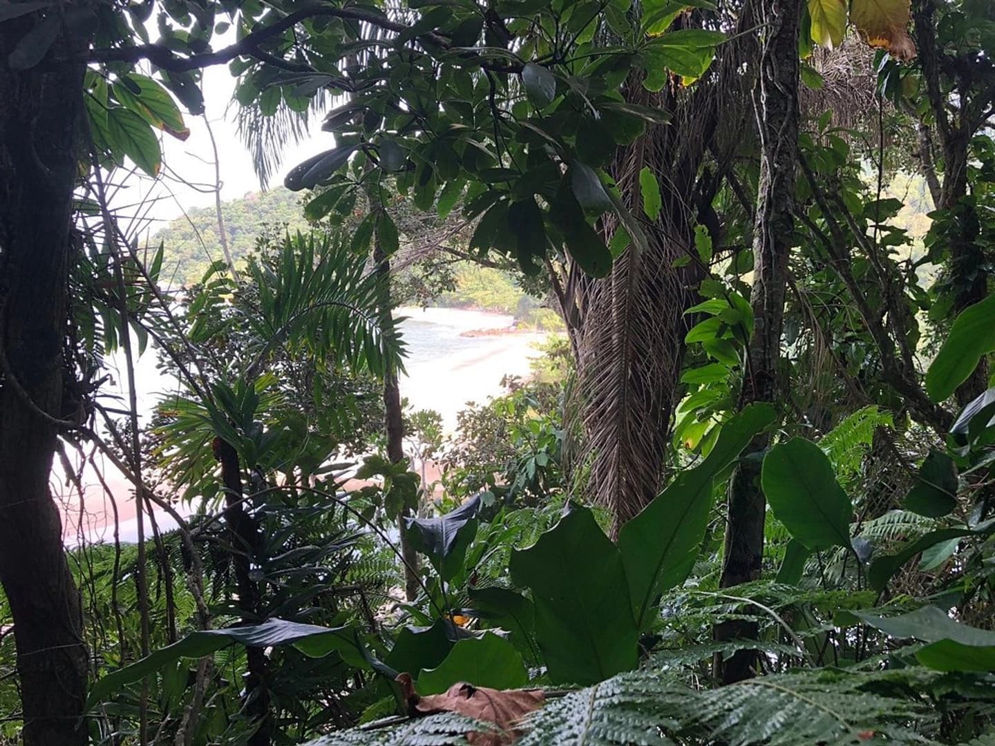 Excursão à Ilha de Santo Amaro