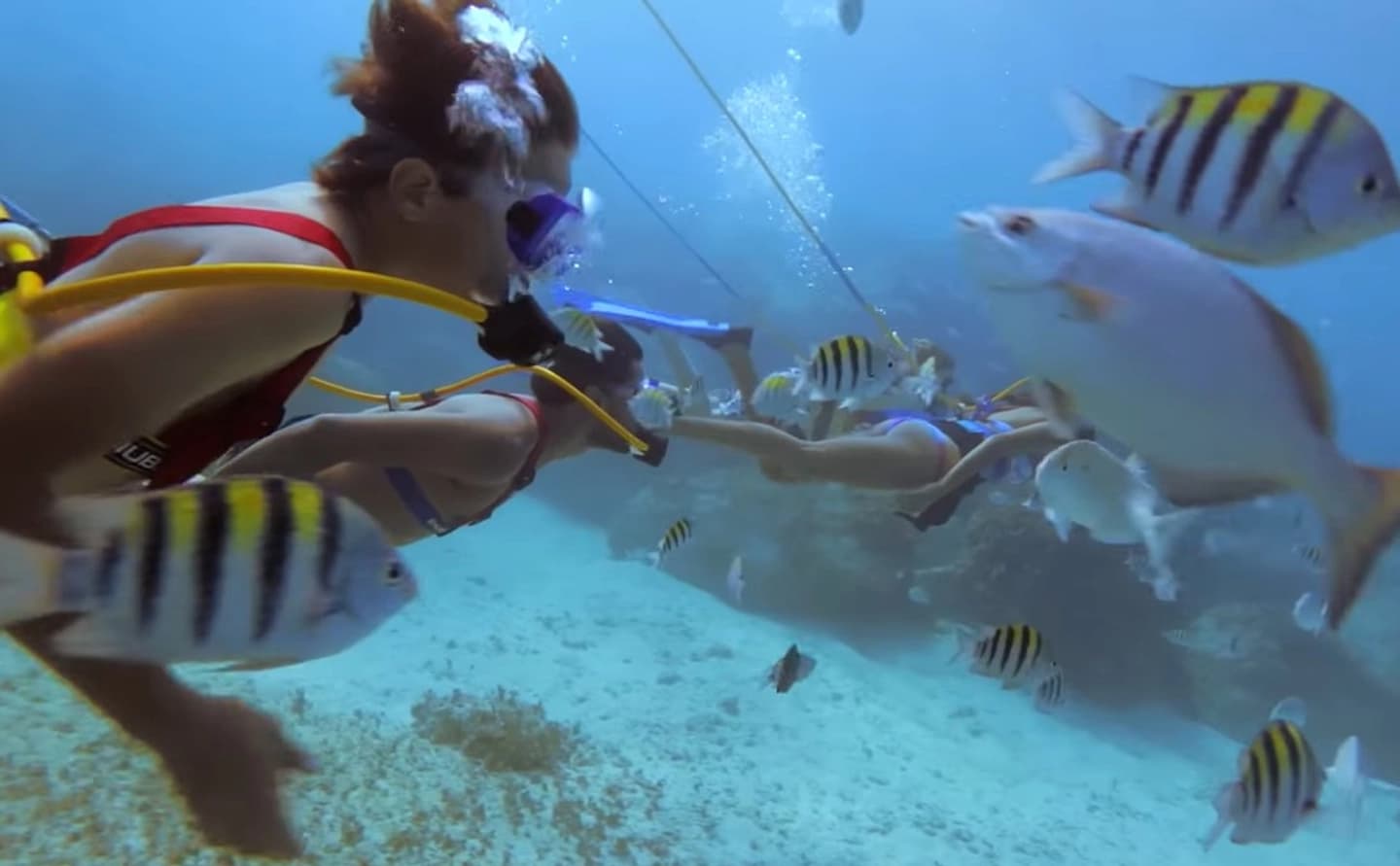 Snuba en San Andrés Isla