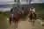 Cabalgata en los bosques de Tobia desde Bogotá