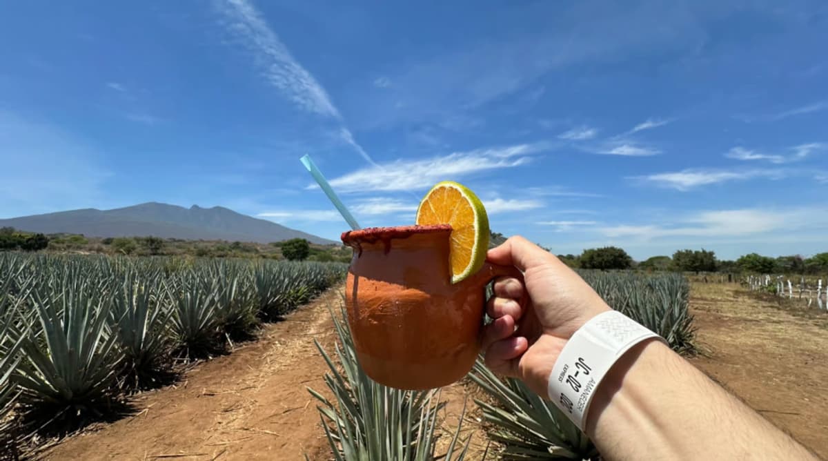 Tour del Tequila en Destilería Tradicional y Pueblo Mágico desde Guadalajara
