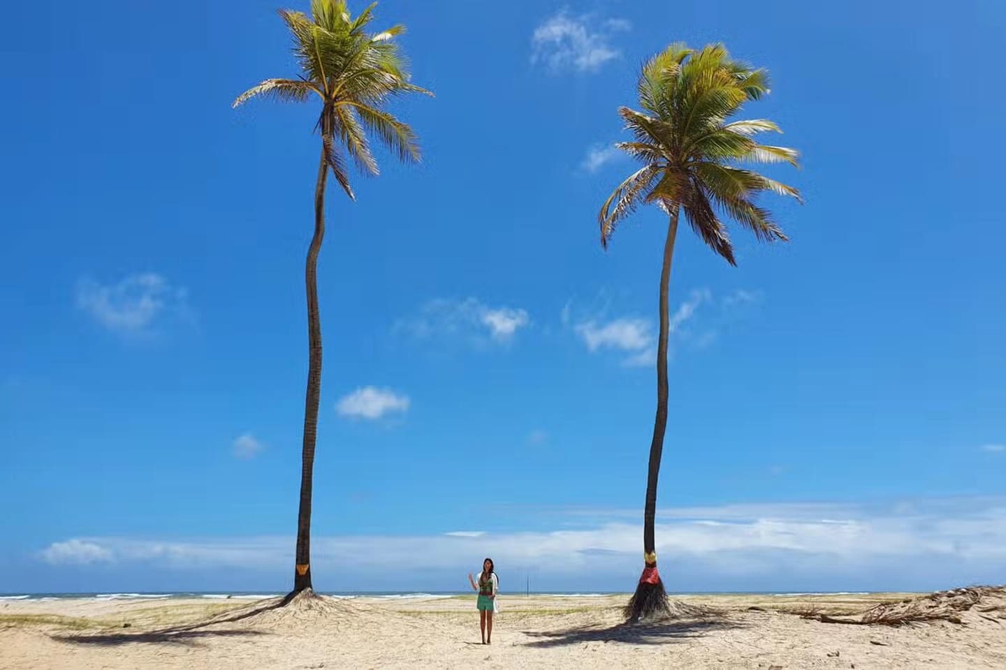 Excursión a Mangue Seco desde Aracaju