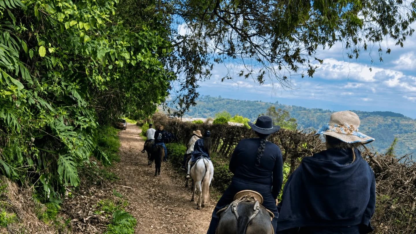 Cabalgata y tour de café desde Salento