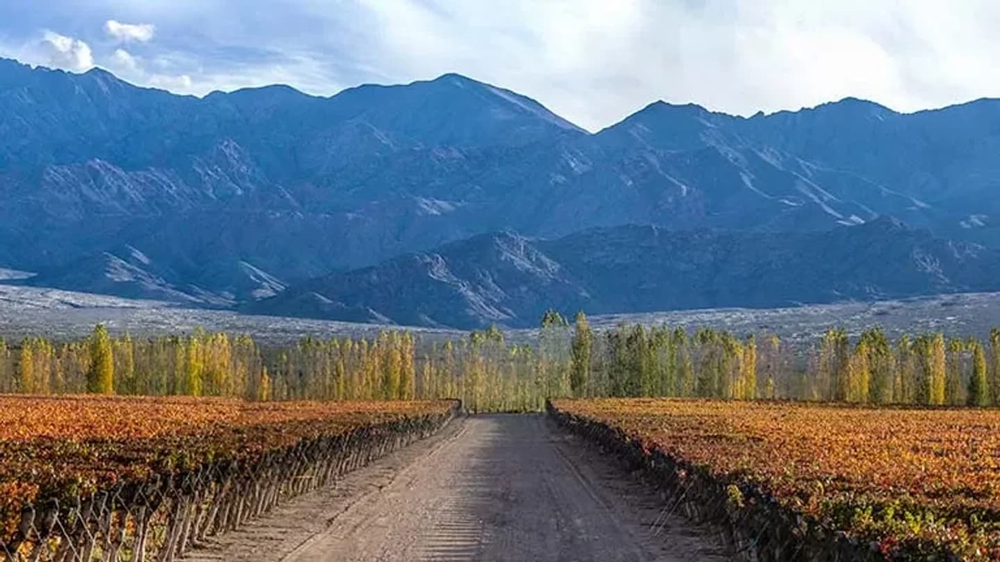 Bus Vitivinícola Camino del Vino Luján de Cuyo Tierra Malbec – Jueves