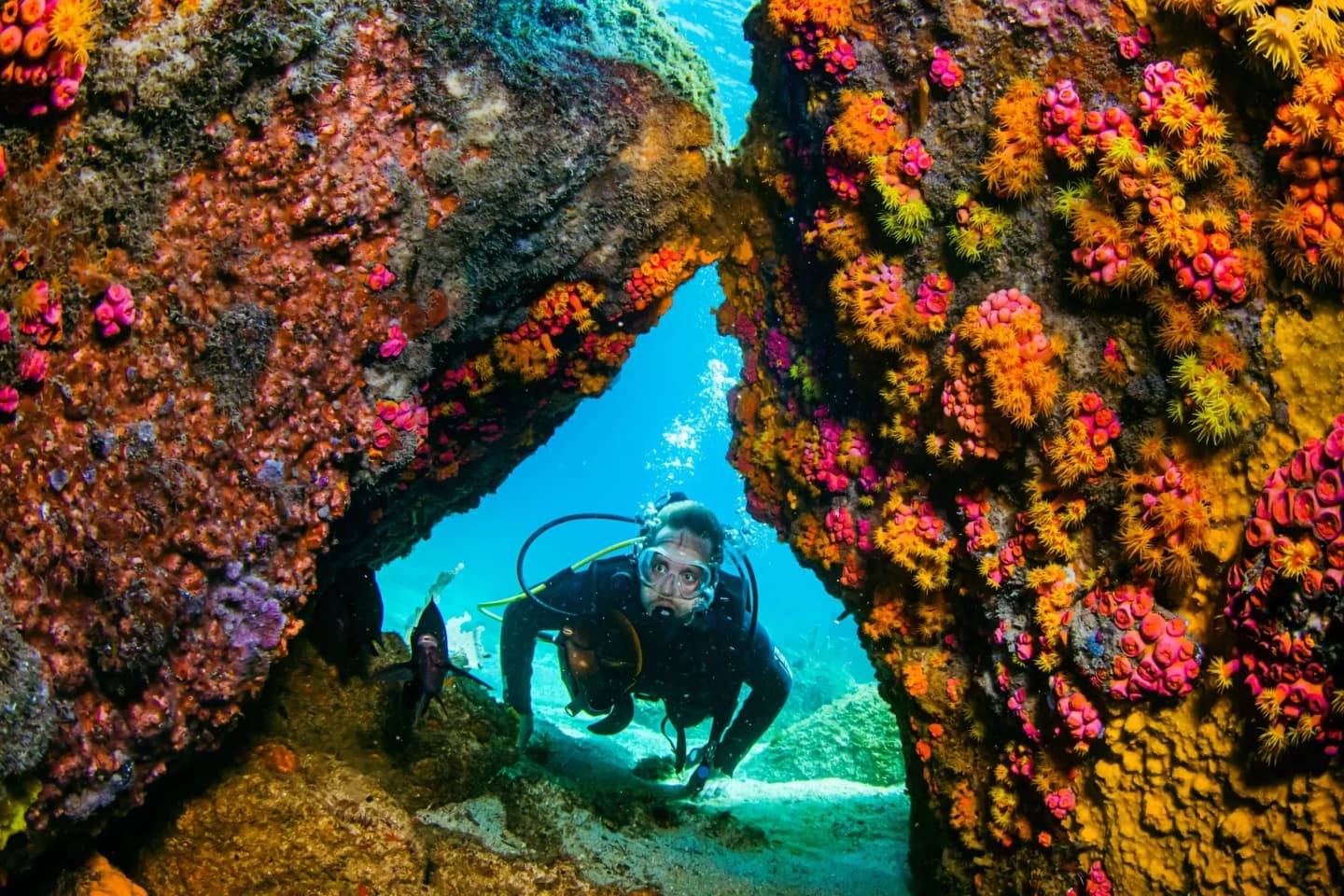 Tour de Buceo en Arraial do Cabo desde Río de Janeiro