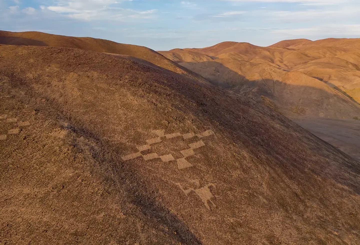 Reserva Nacional Pampa Del Tamarugal - Sector Geoglifos de Pintados