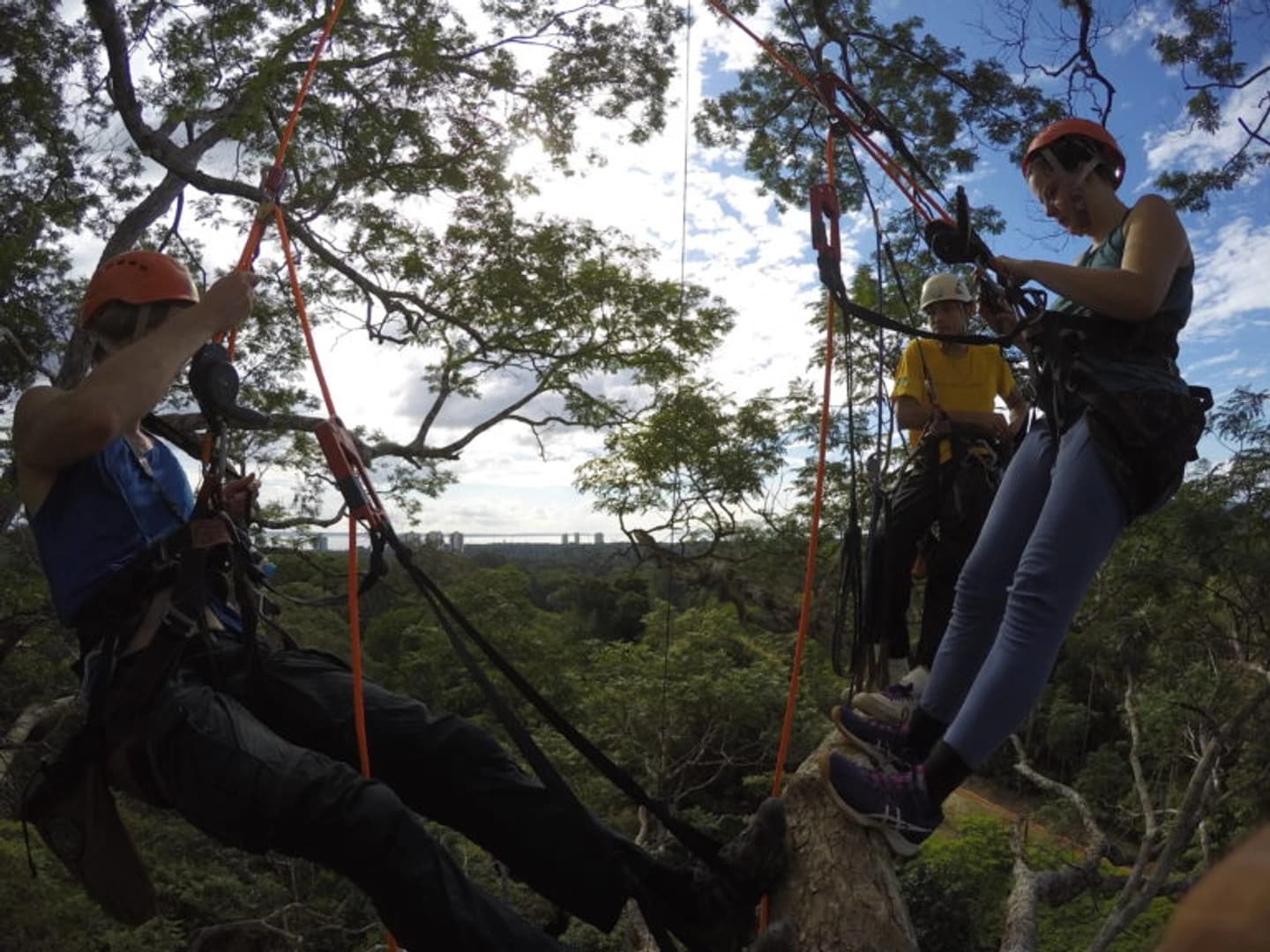 Escalada en Árboles en la Selva Amazónica desde Manaos