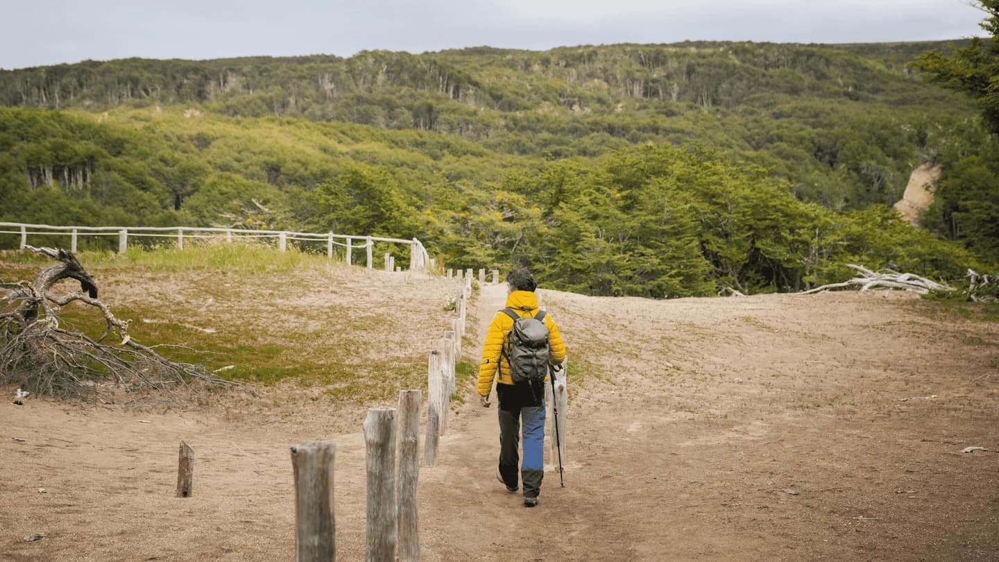 Tour a la Reserva Magallanes desde Punta Arenas
