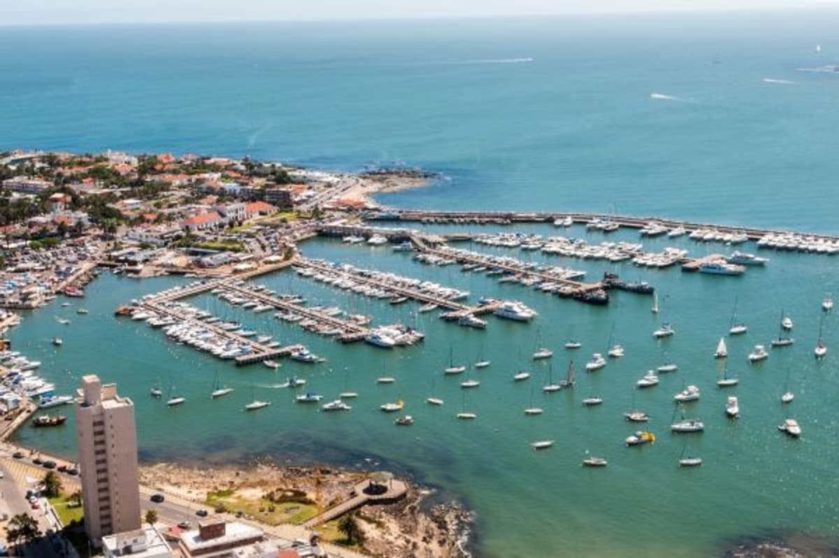 Excursión a Punta Ballena y Punta del Este