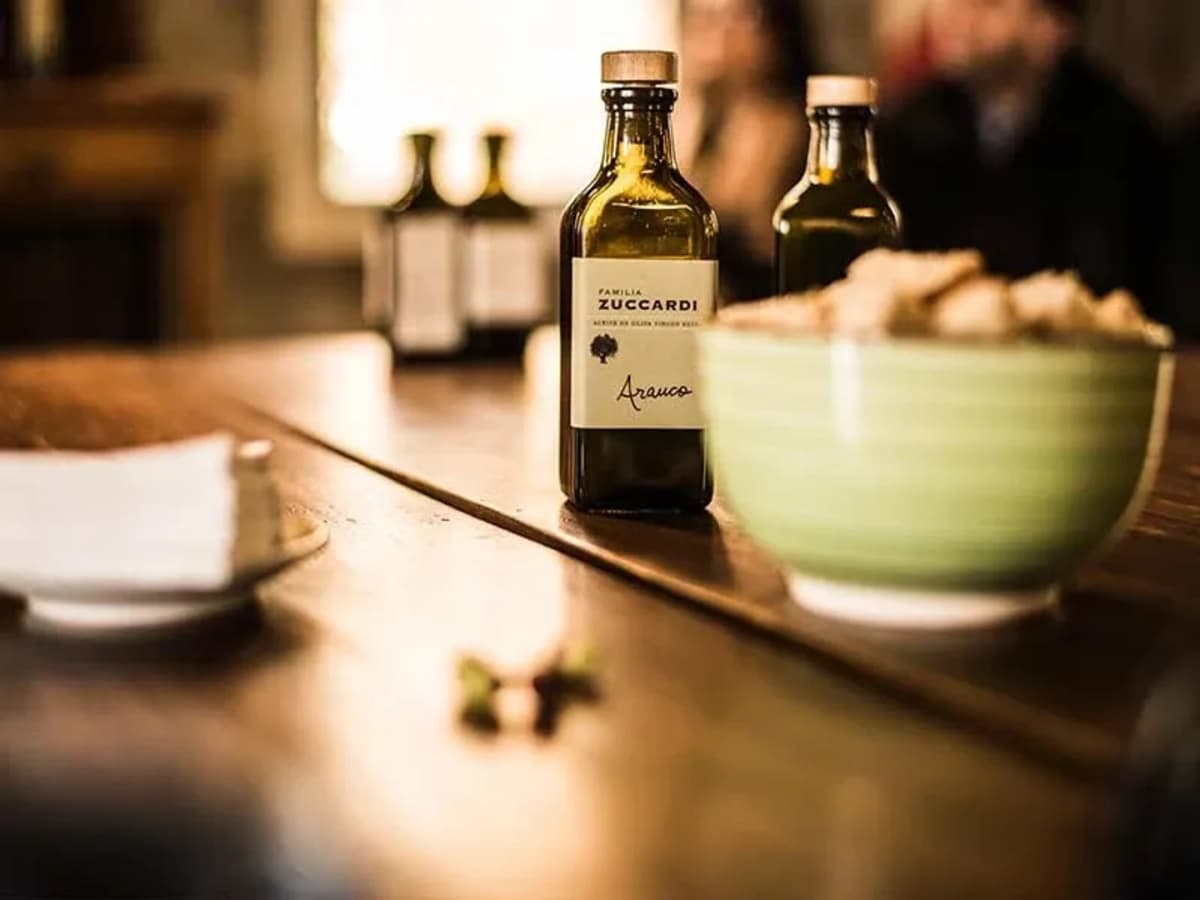 Visita a Bodegas Trapiche y Antigal con almuerzo en Aceitera Pan & Oliva