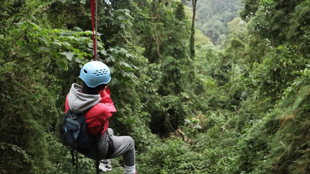 Trekking en Parque Natural Chicaque: Bosque de Niebla desde Bogotá