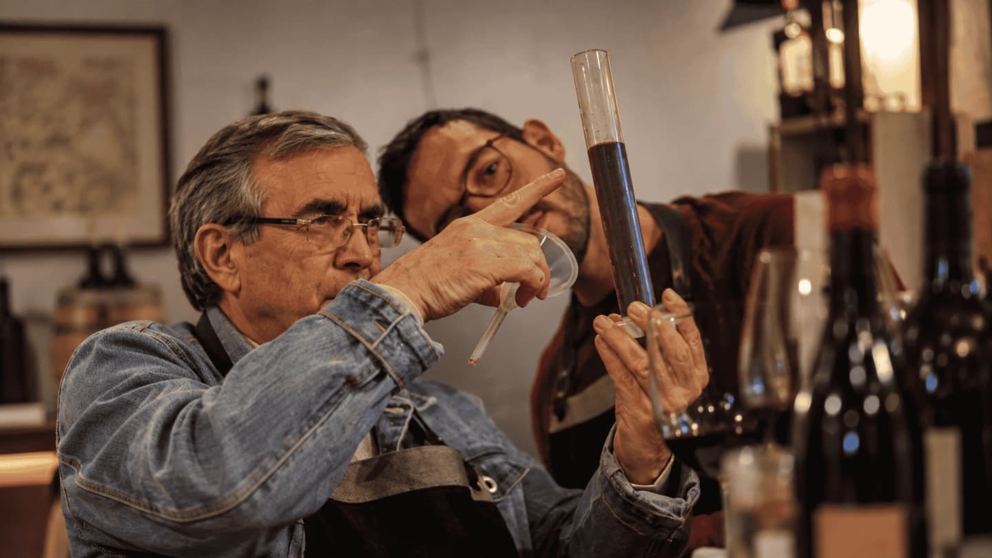 Taller de elaboración de vino en Viña MontGras