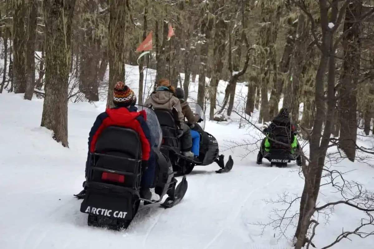 Paseo por el Bosque en Moto de Nieve en Cerro Chapelco