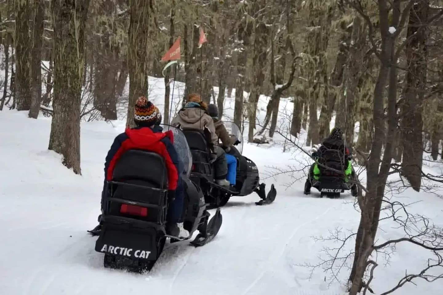 Paseo por el Bosque en Moto de Nieve en Cerro Chapelco