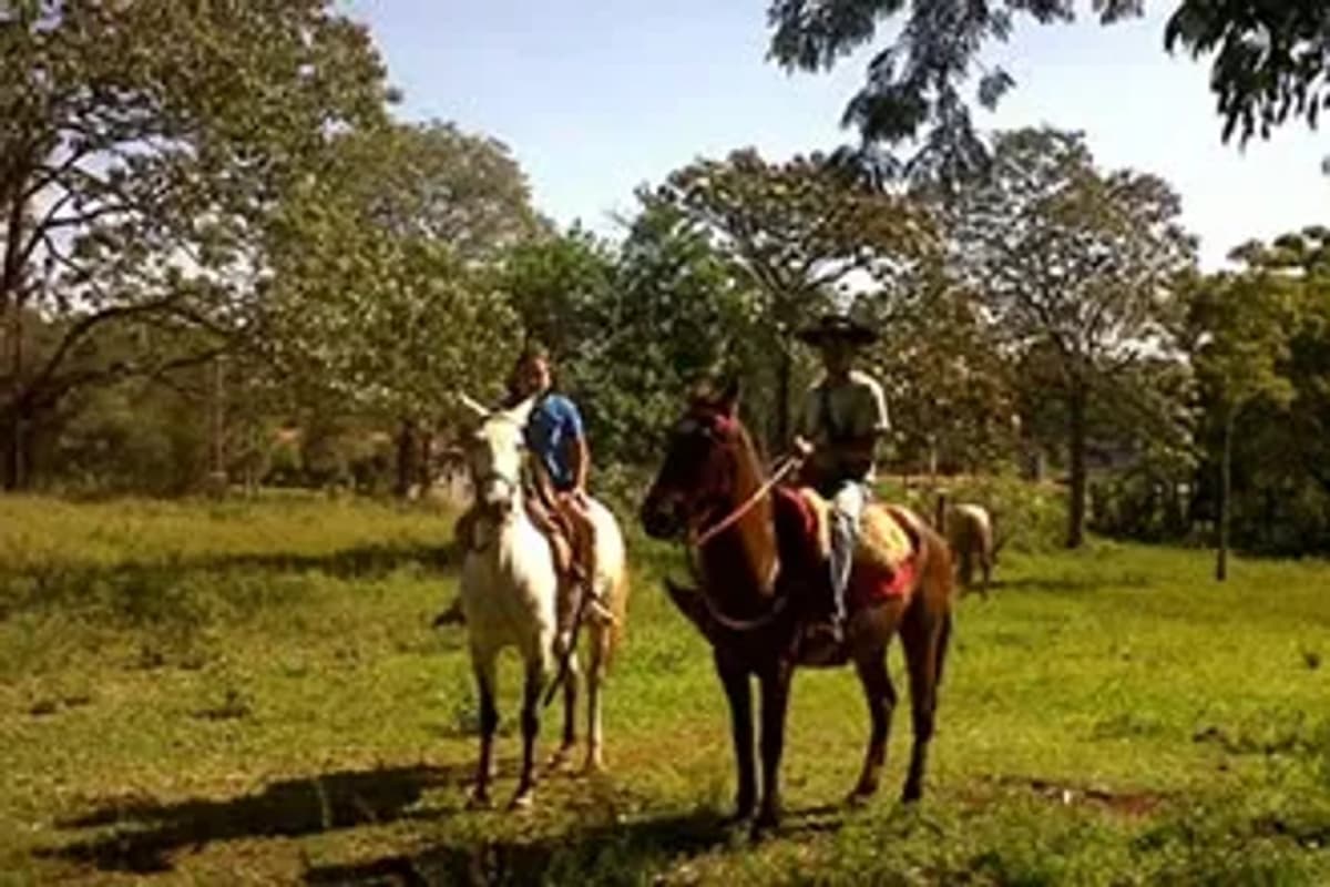 Cabalgata Ecológica en la Selva Iguazú