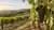 Excursión a Faria Lemos desde Caxias do Sul