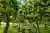 Excursión a Bodegas con degustación en San Rafael