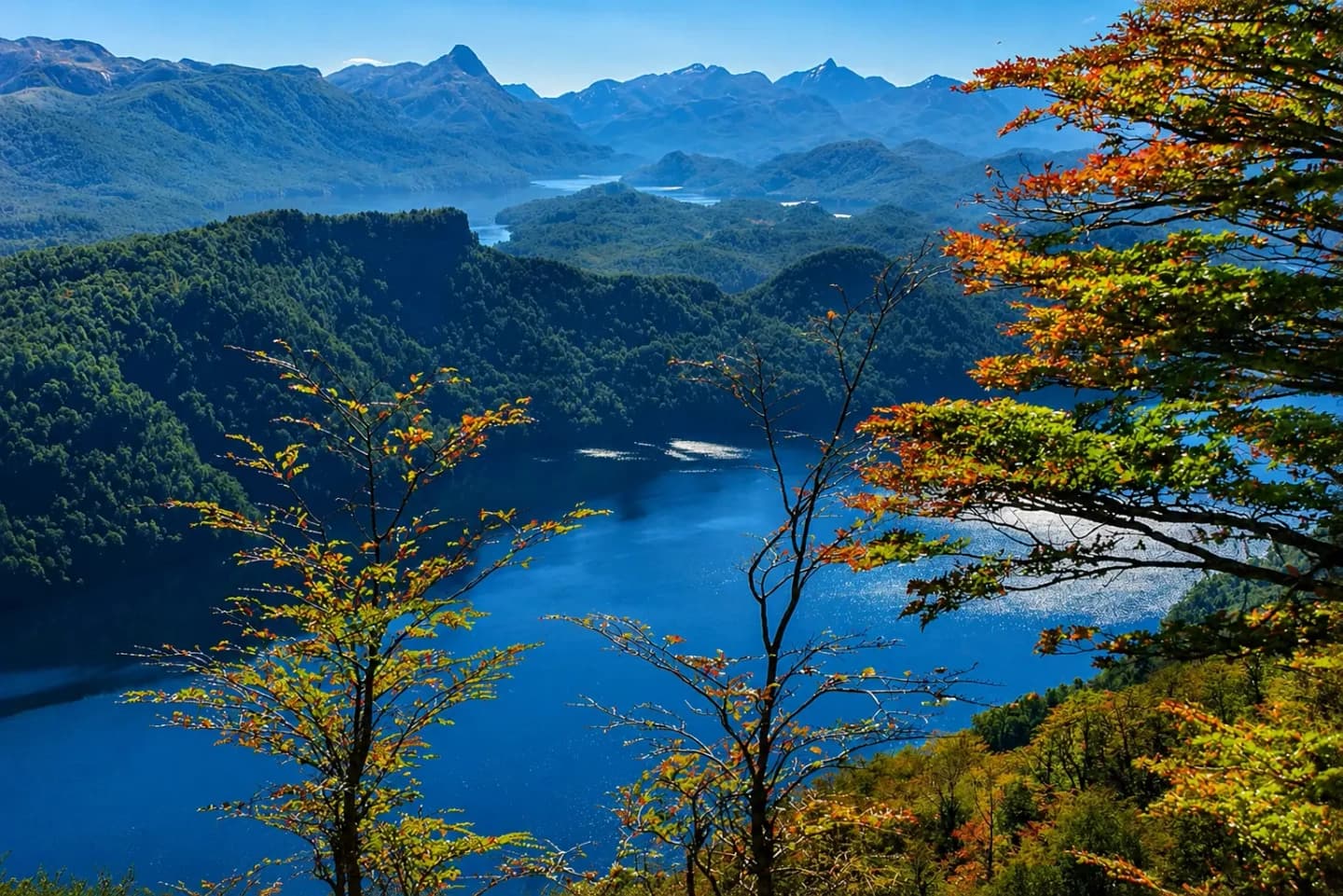 Seven Lakes Route Excursion to Villa La Angostura and Bariloche from San Martín de los Andes