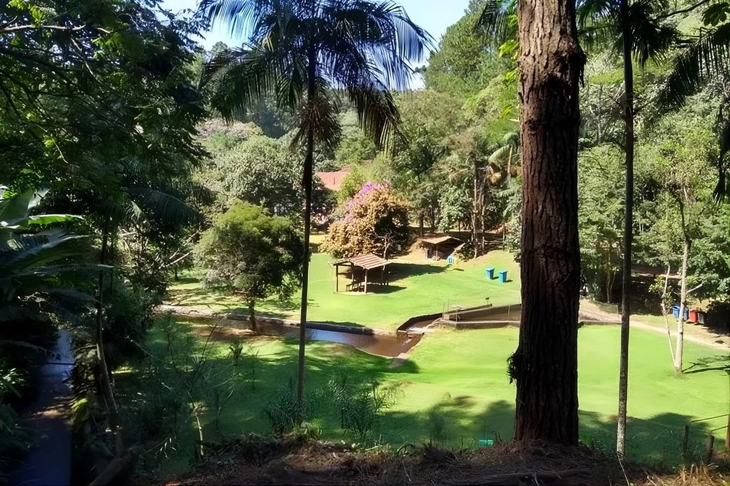 Caminhada na Serra da Cantareira