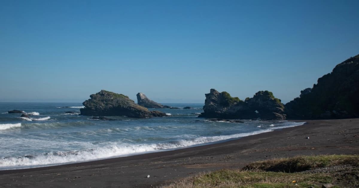 Tour por la ciudad de Concepción: Caletas pesqueras