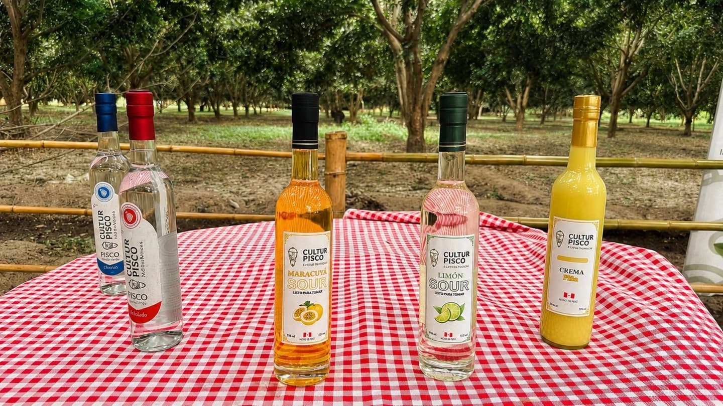 Tour del Pisco y el Vino por Ica