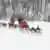 Trineos perros Husky, Raquetas de Nieve Nocturna y Cena con Fogón en Nunatak en Ushuaia