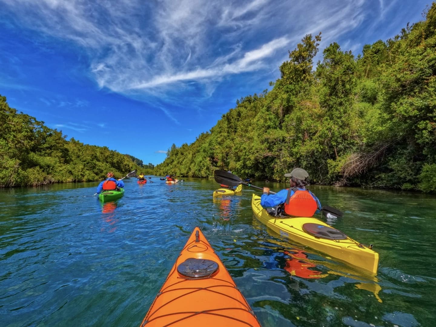 Ruta Origen del Maullín: Experiencia Única en Kayak y SUP