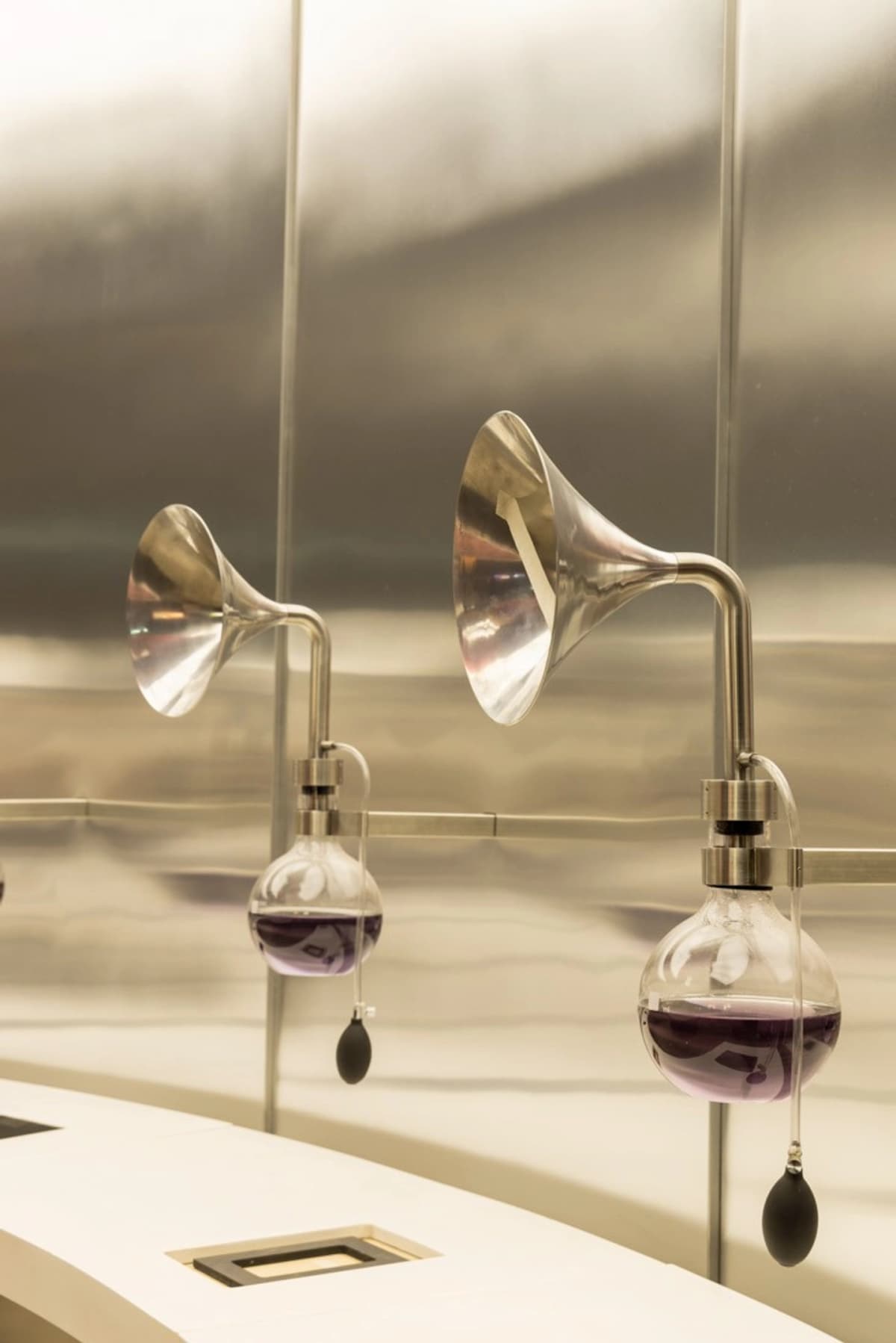 Tour guiado en Casa del Vino Concha y Toro con nueva experiencia sensorial