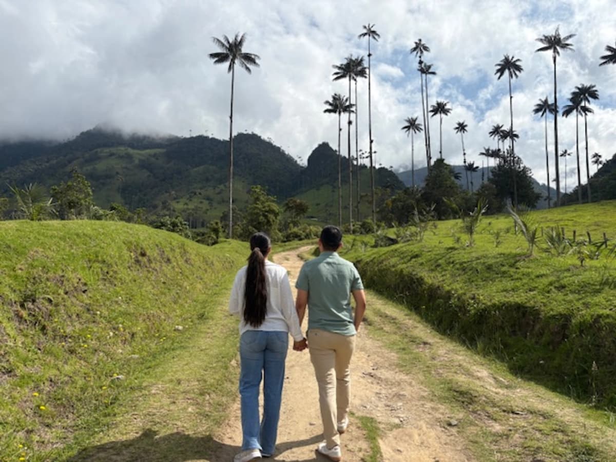 Valle de Cocora, Salento con degustación de chocolate