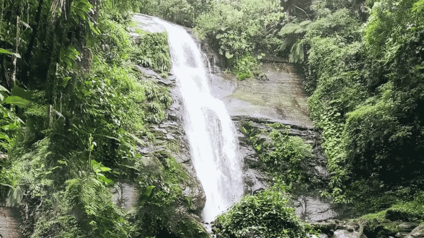 Sendero del Circuito Acuático en Angra dos Reis