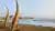 Tour a Chan Chan y Huanchaco desde Trujillo