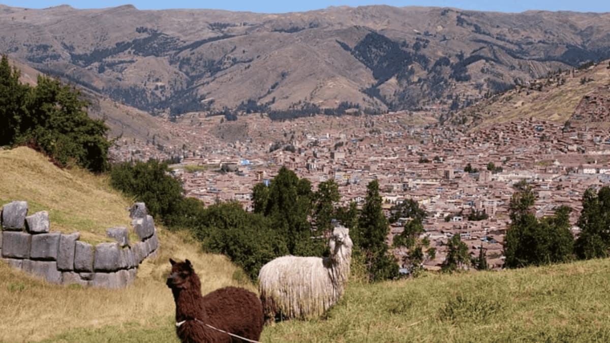 Tour de medio día a Sacsayhuamán, Q'enqo, Puka Pukara y Tambomachay