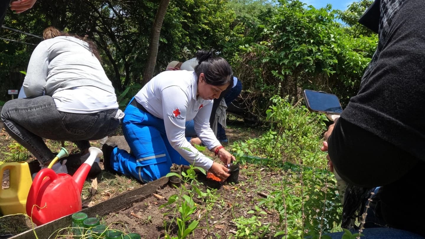Experiencia de manglar huerta y ceremonia de té por Bosque Tropical en Barranquilla