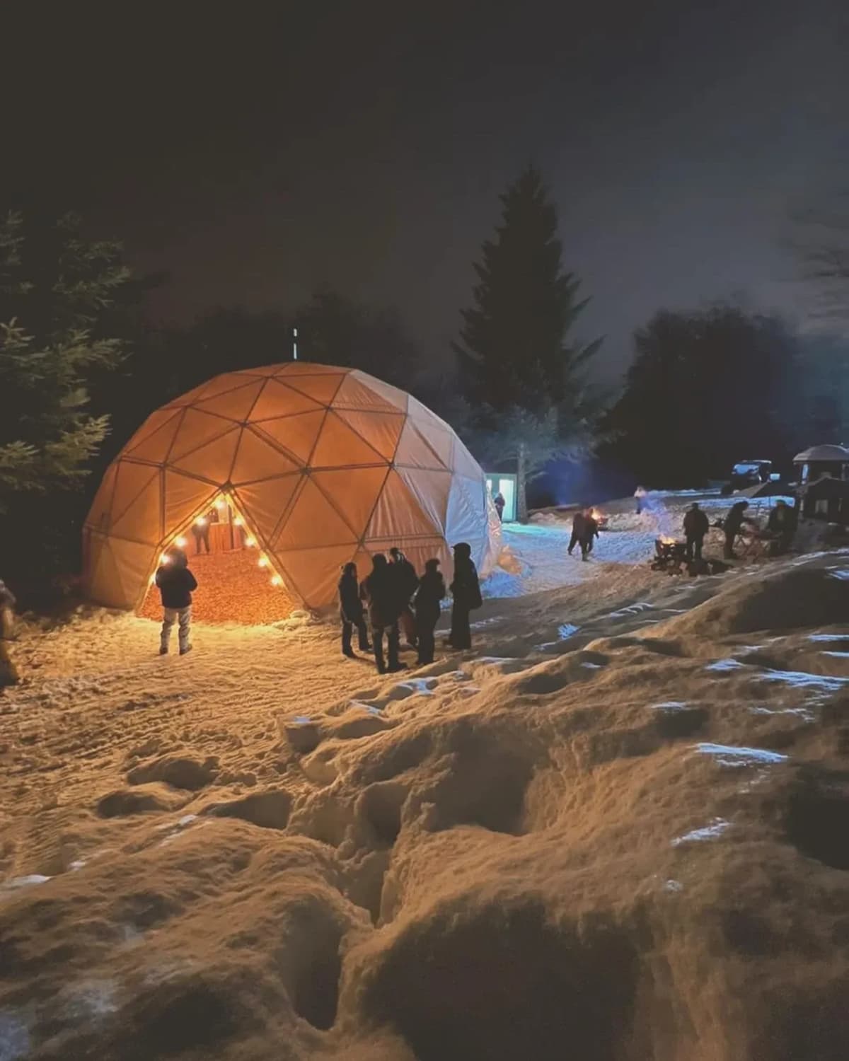 Experiencia Winter Park Night: Raquetas de Nieve, Esquí Nocturno, Música y Cena