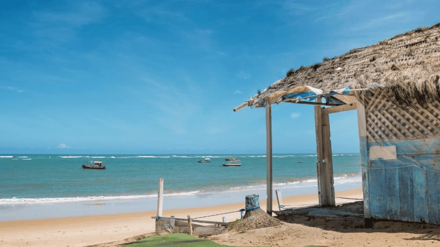 Tour a Praia do Forte y Guarajuba desde Salvador