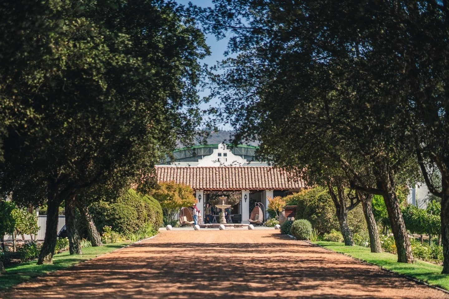 Tour del Vino en el Valle de Casablanca desde Valparaíso