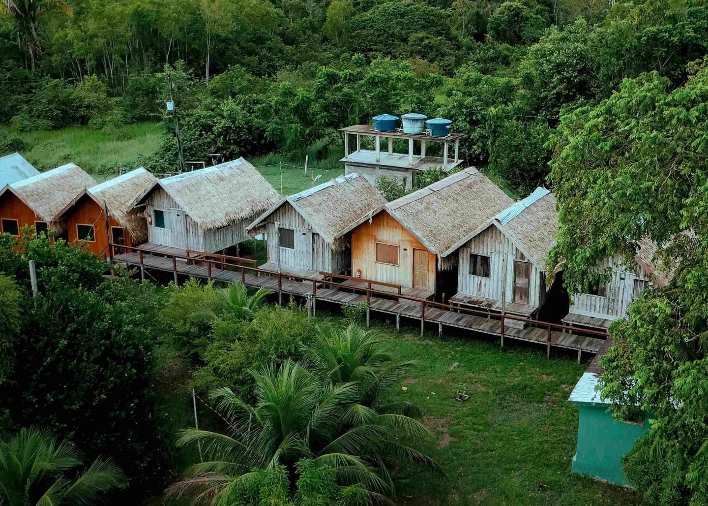 Tour de 4 Días en la Selva Amazónica con Hospedaje en Juma Lake desde Manaus