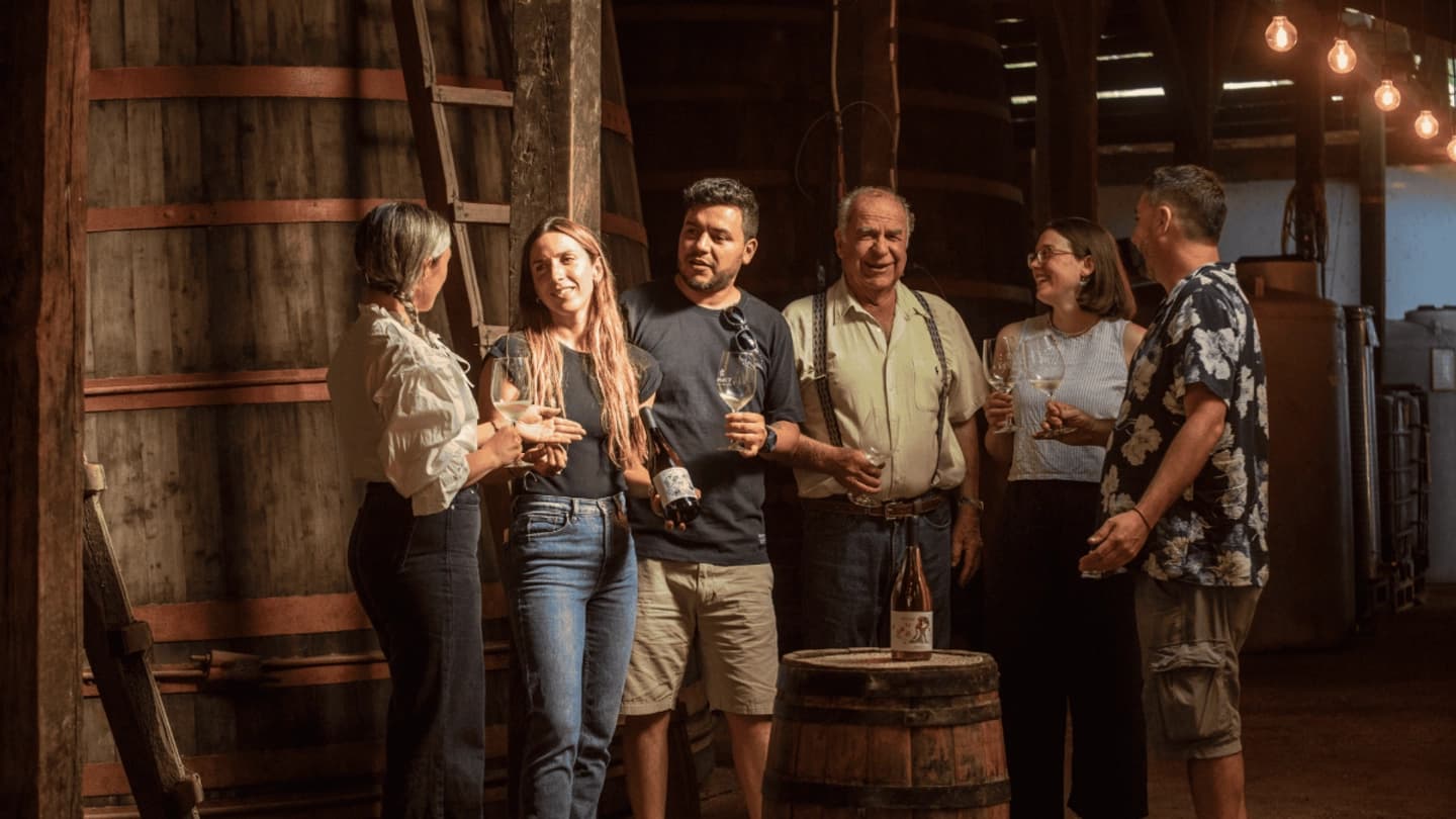 Experiencia Cata de Vinos en Viña Prado