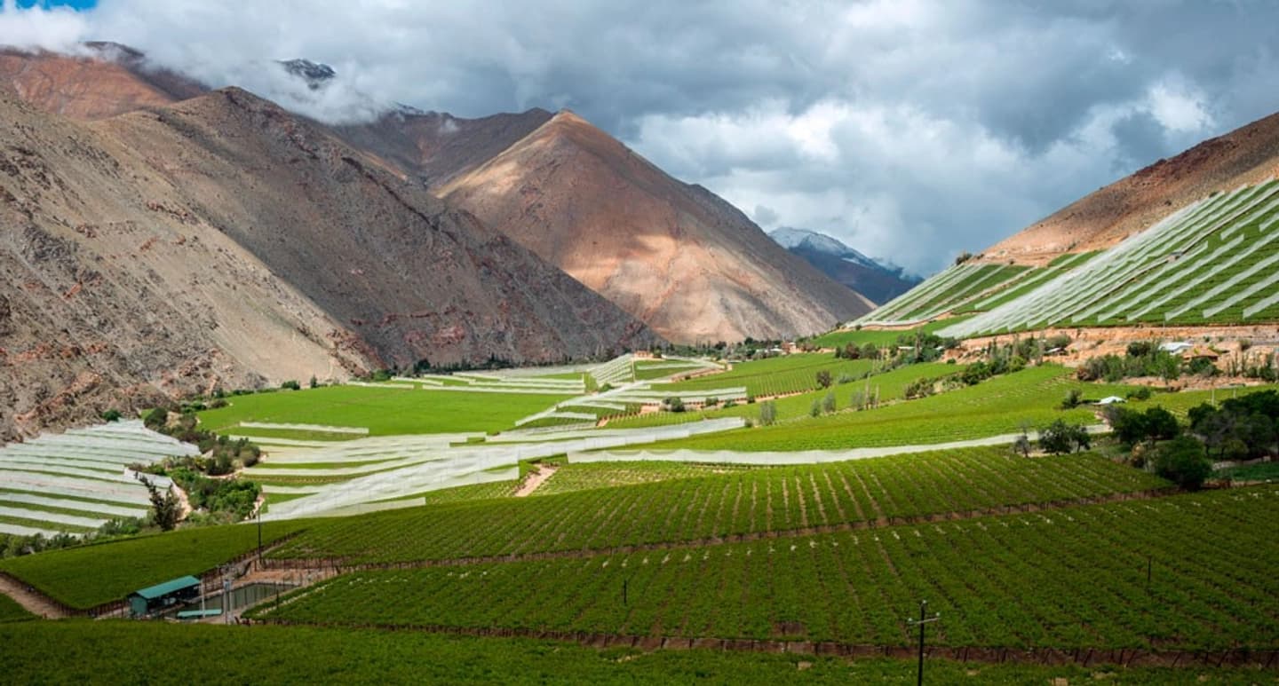 Full Day Valle del Elqui desde La Serena