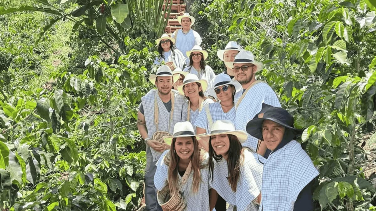 Tour en finca cafetera Entrebosques con cata de café