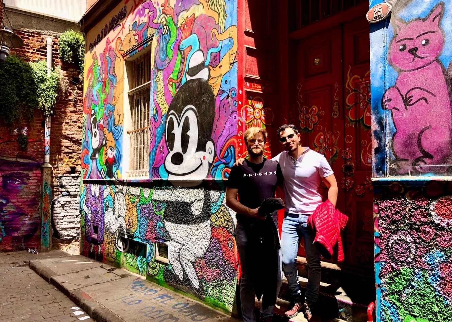 Tour por Valparaíso y Viña del Mar desde Santiago con Guía Local