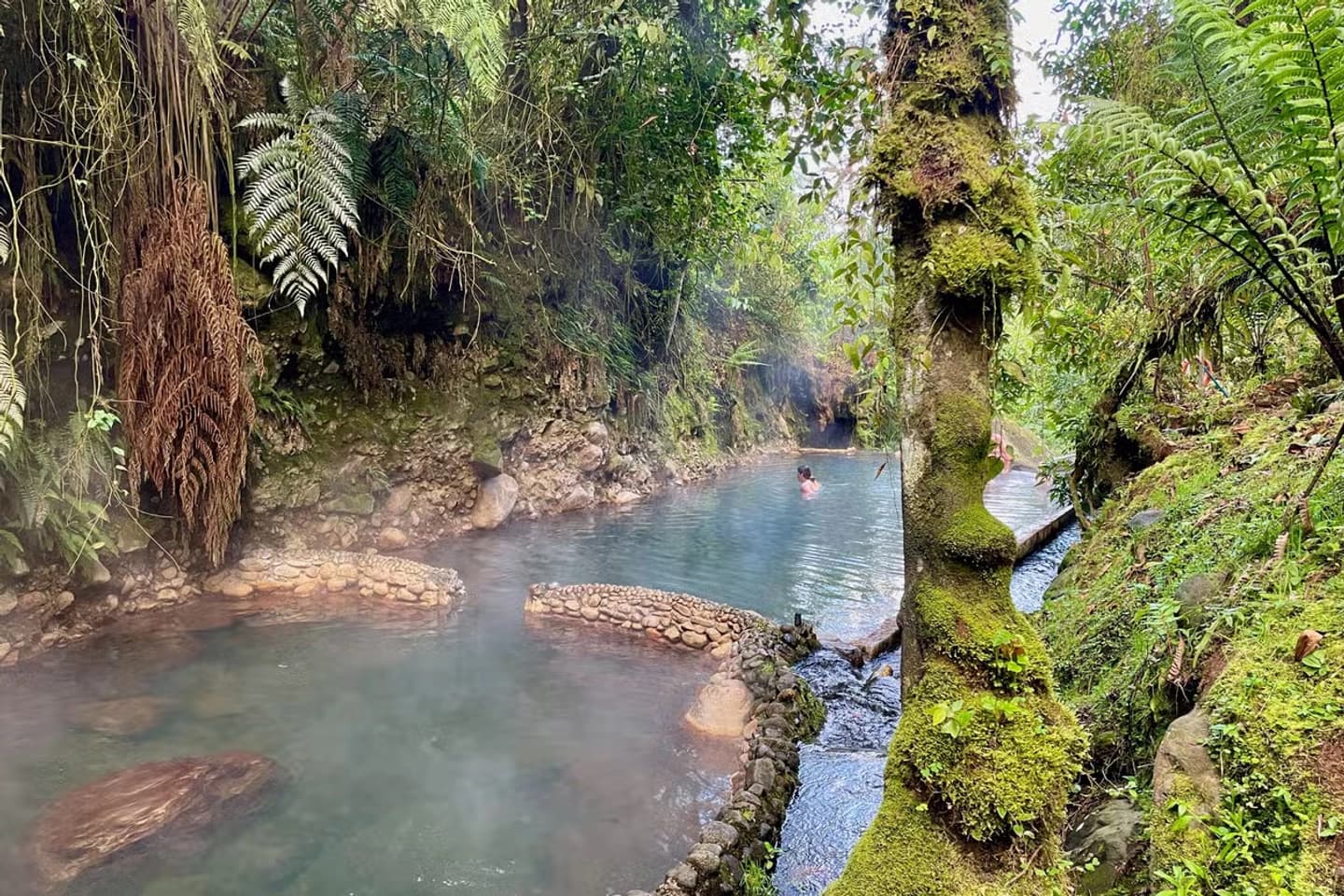 Excursion to the San Vicente Hot Springs from Pereira