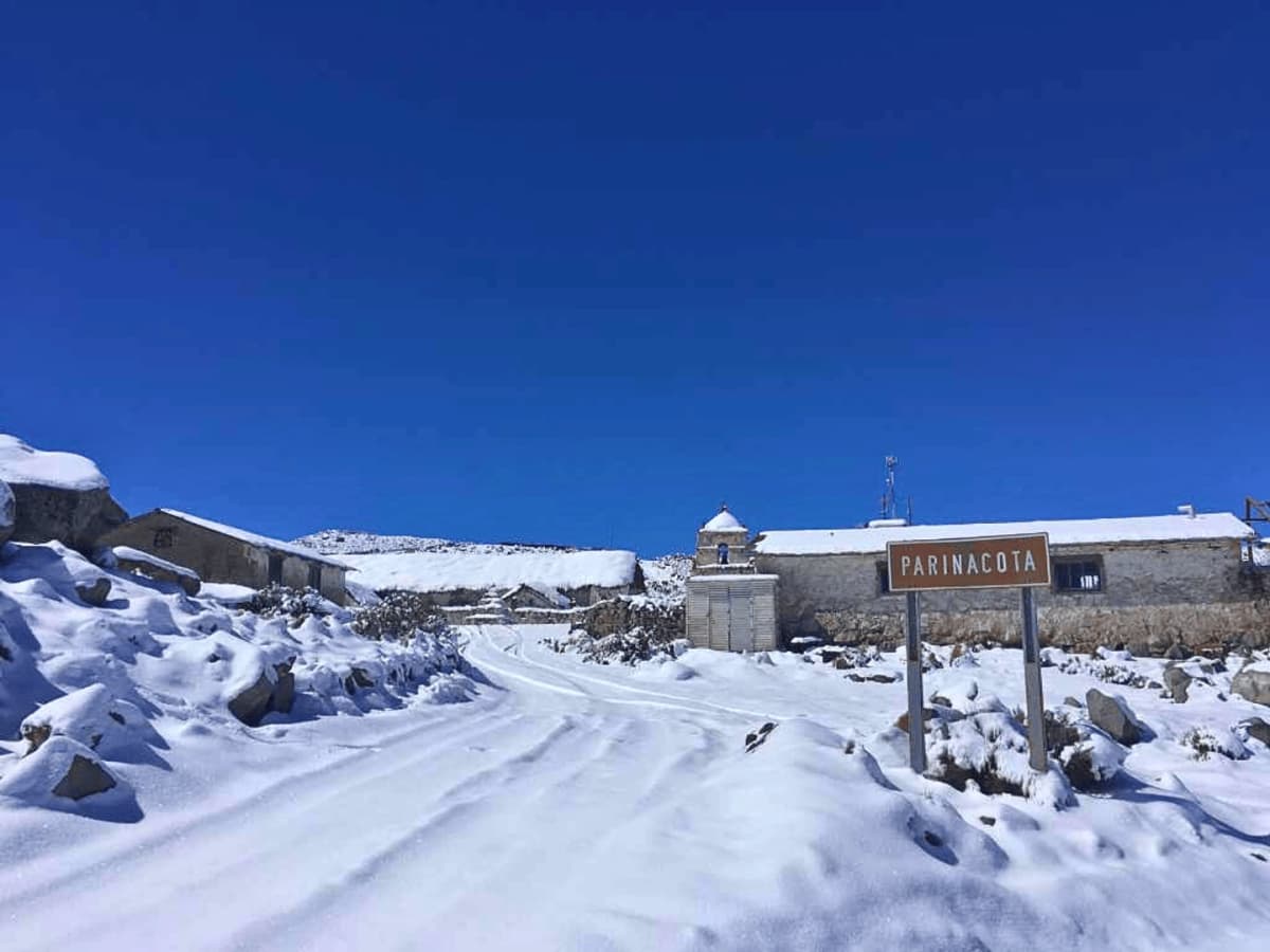 Ruta Altiplánica: Descubre los Encantos de General Lagos