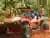 Punta Cana: tour en buggy, tirolesa y caballos con almuerzo