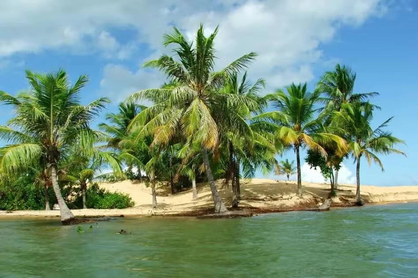 Excursión al Río São Francisco desde Aracaju