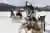 Trineos perros Husky, Moto de nieve y Cena con Fogón en Nunatak en Ushuaia