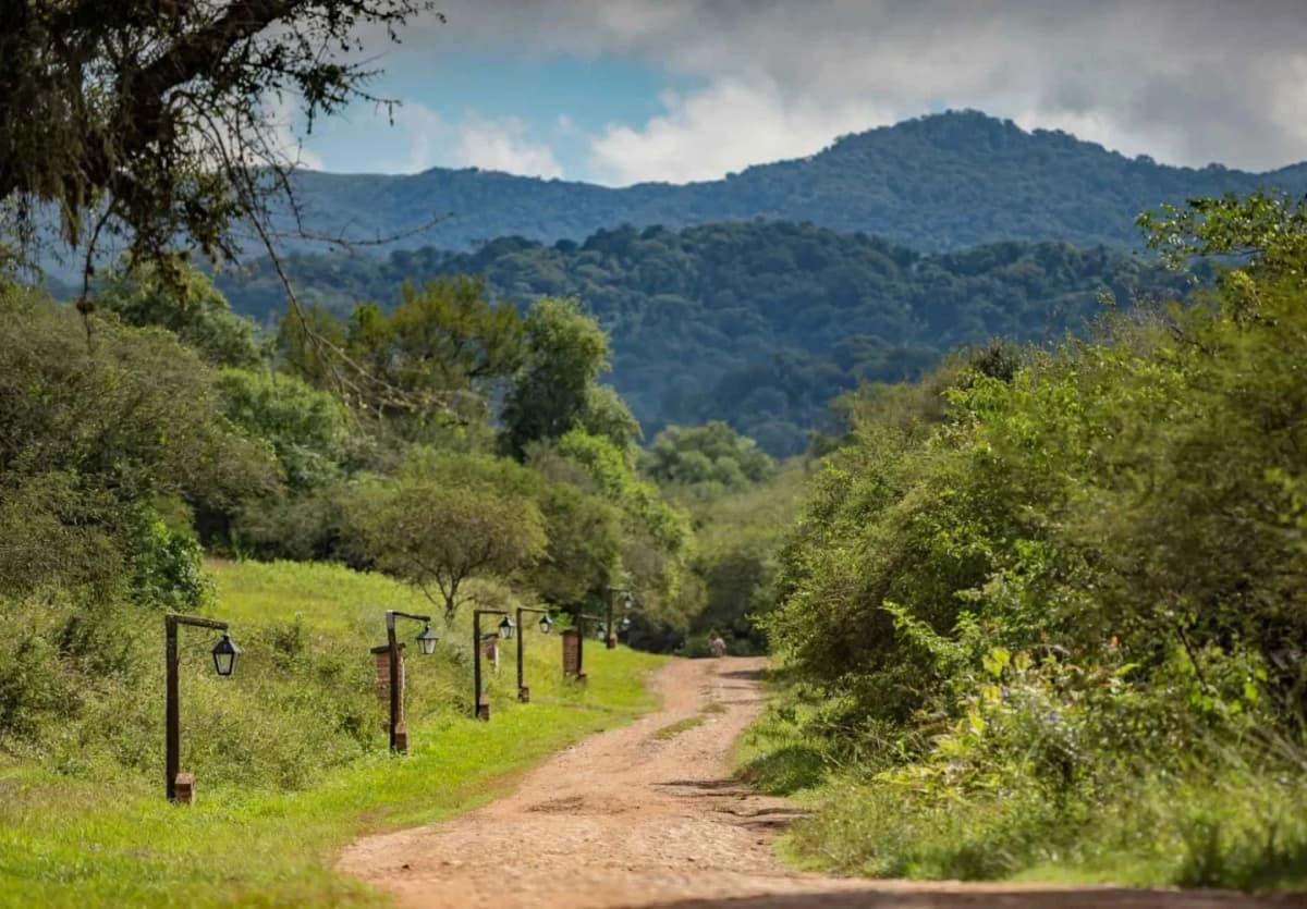 Excursión 4x4 a Yungas y Parque Nacional el Rey